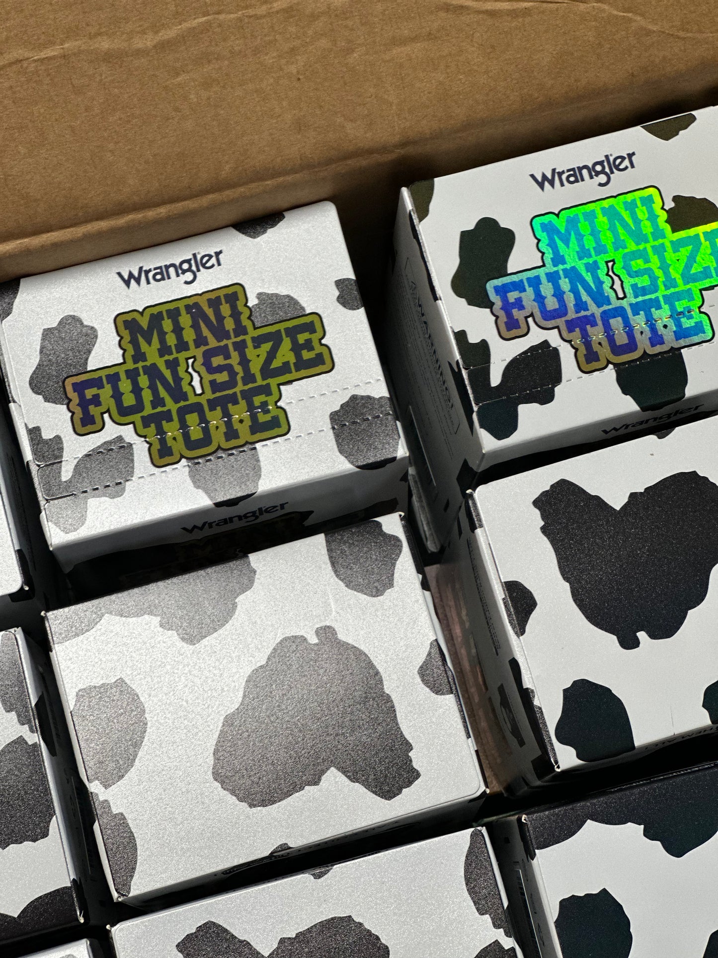 WRANGLER MINI FUN SIZE TOTE BLIND BOX