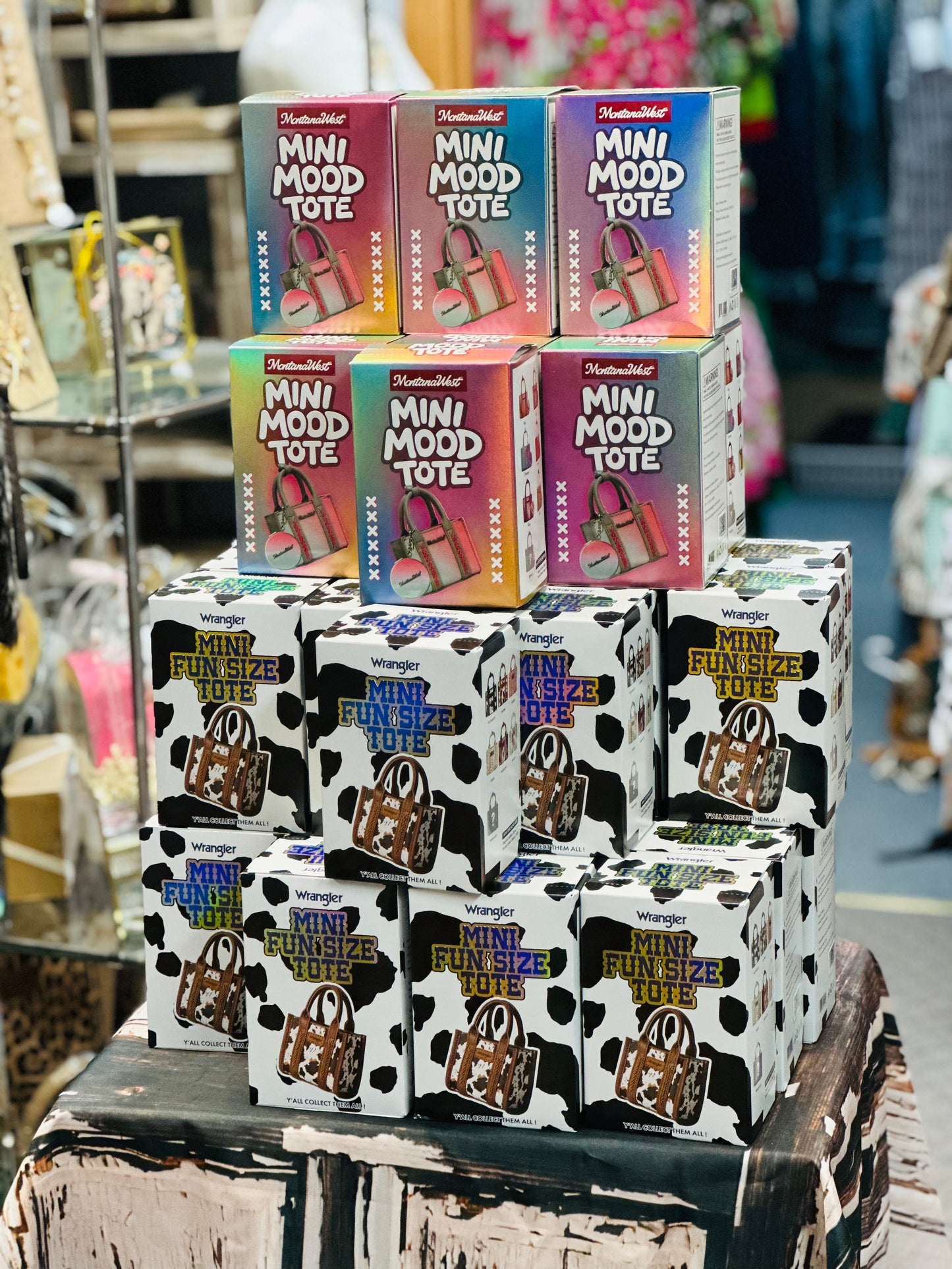 WRANGLER MINI FUN SIZE TOTE BLIND BOX